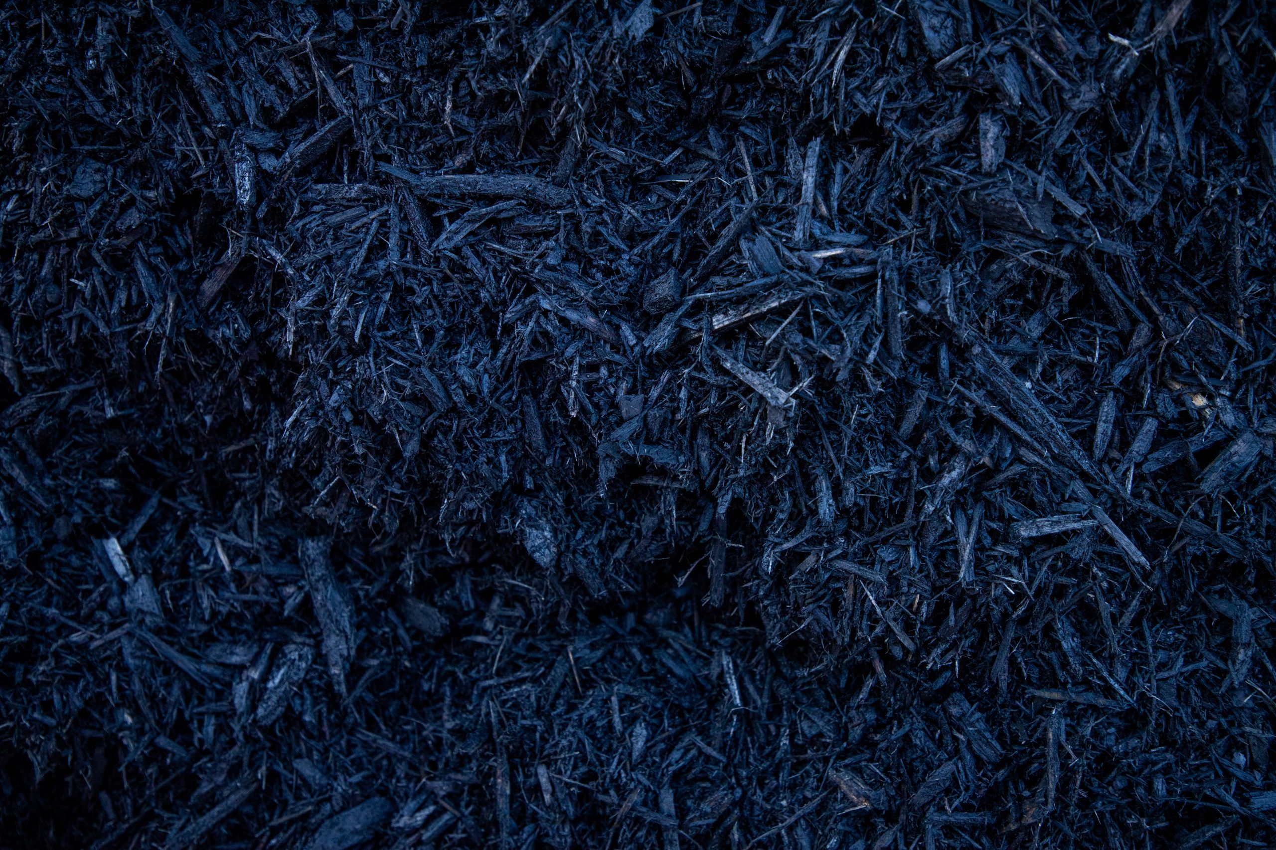 Black Mulch CLOSE UP Black Dyed Mulch
