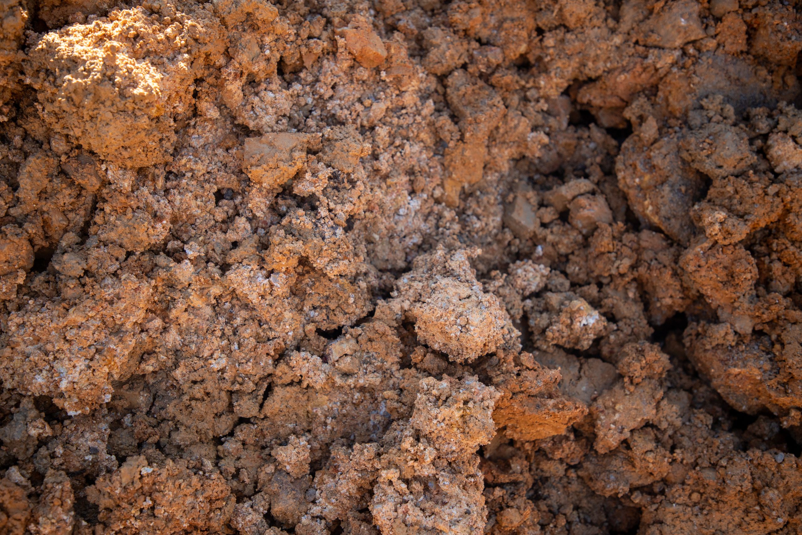 Full Dirt CLOSE UP Fill Dirt