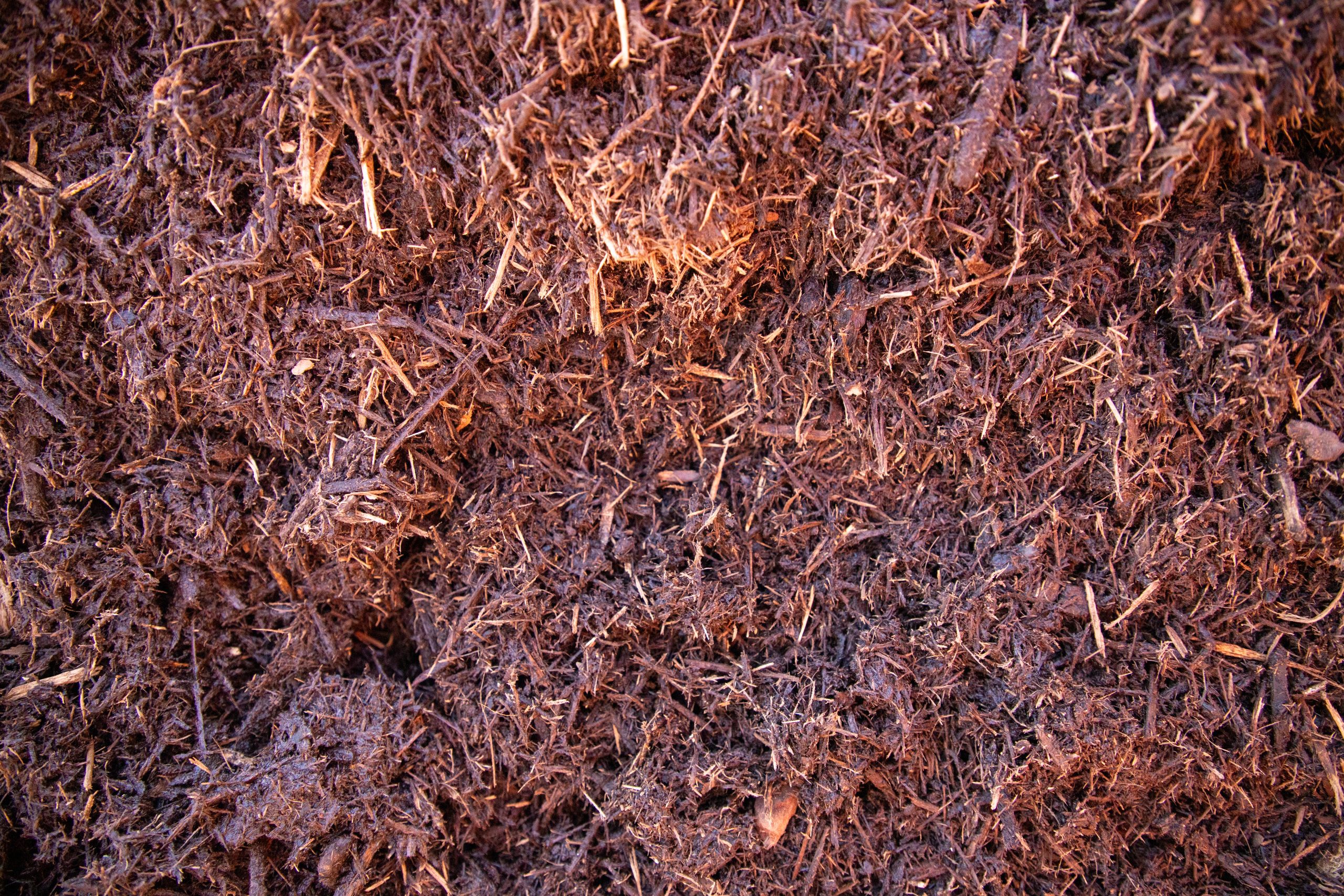 Hardwood Mulch CLOSE UP (1) Hardwood Mulch