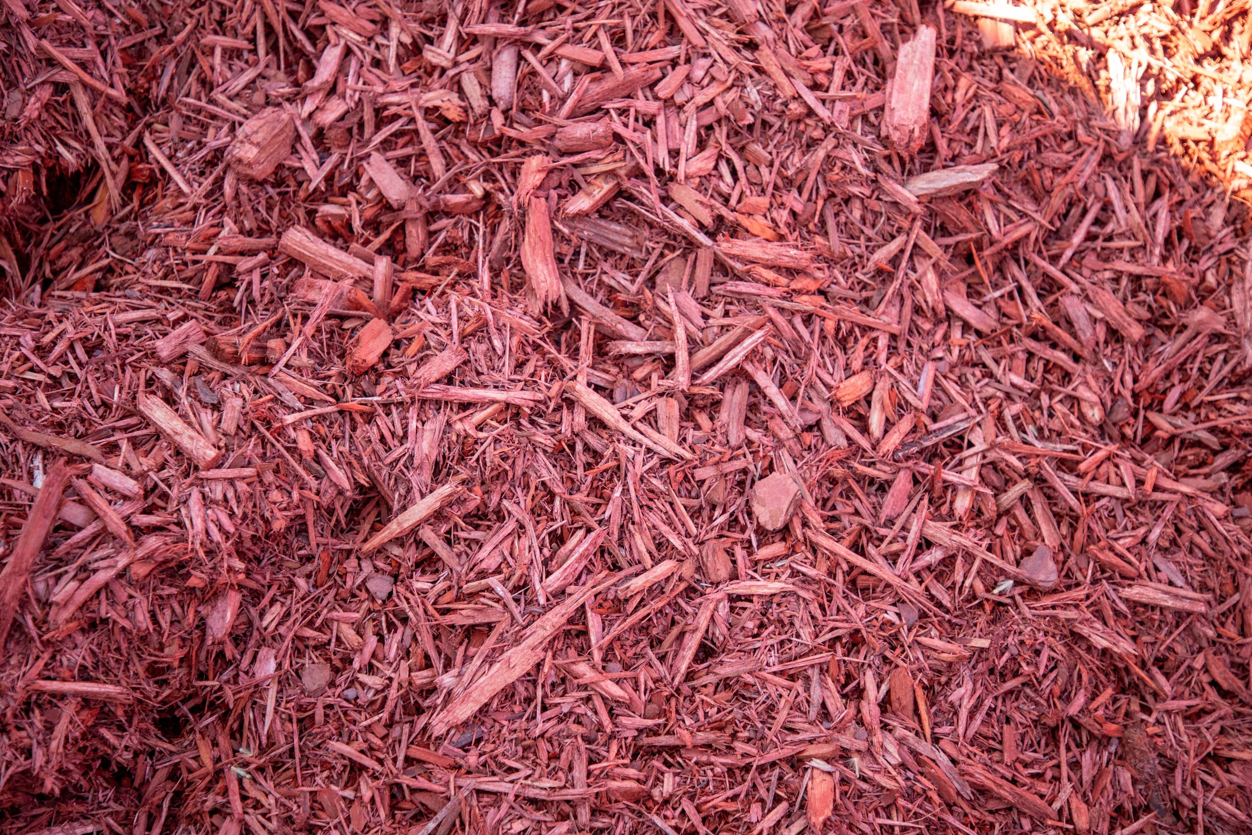 Red Mulch CLOSE UP Red Dyed Mulch