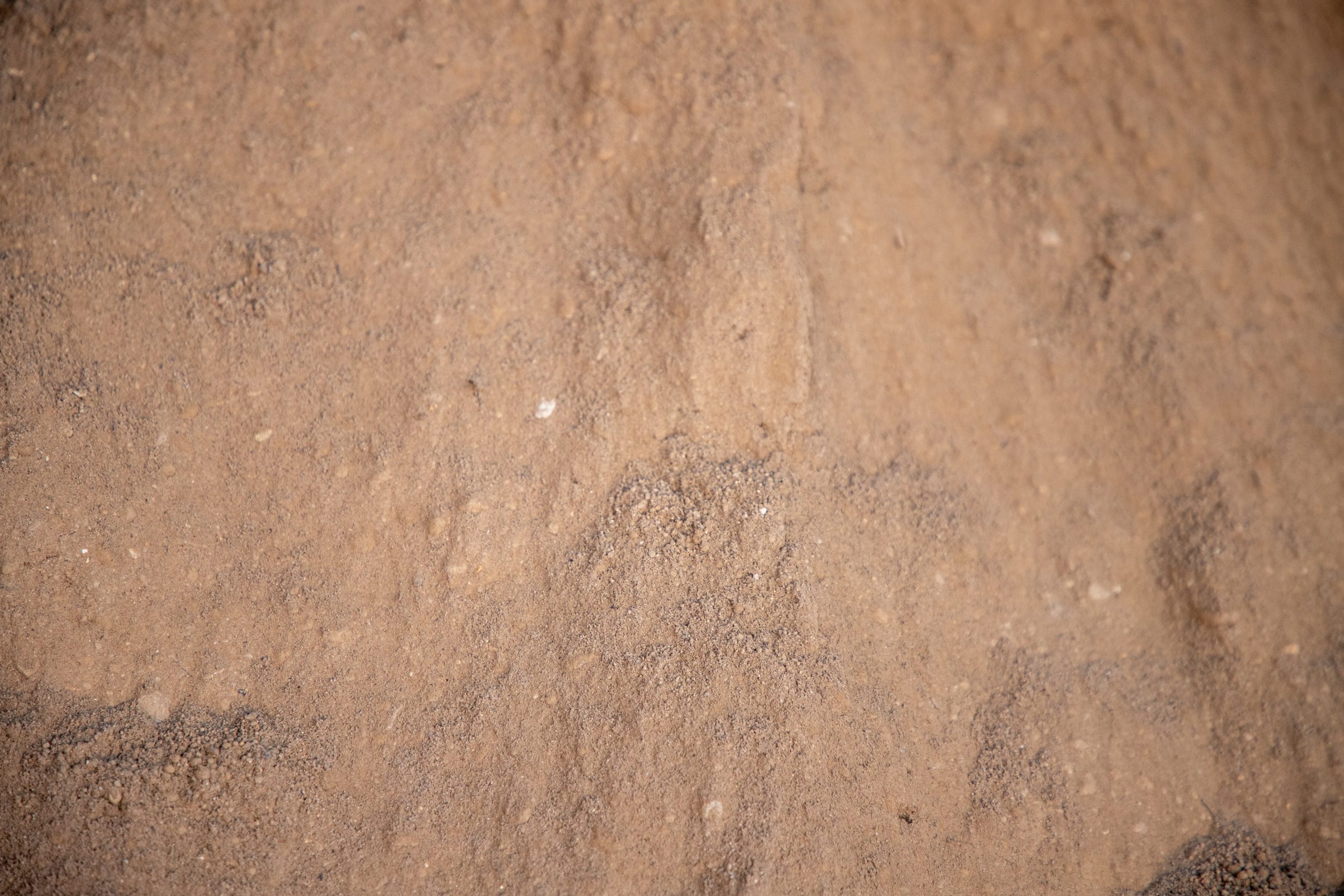 Topsoil CLOSE UP Sifted topsoil