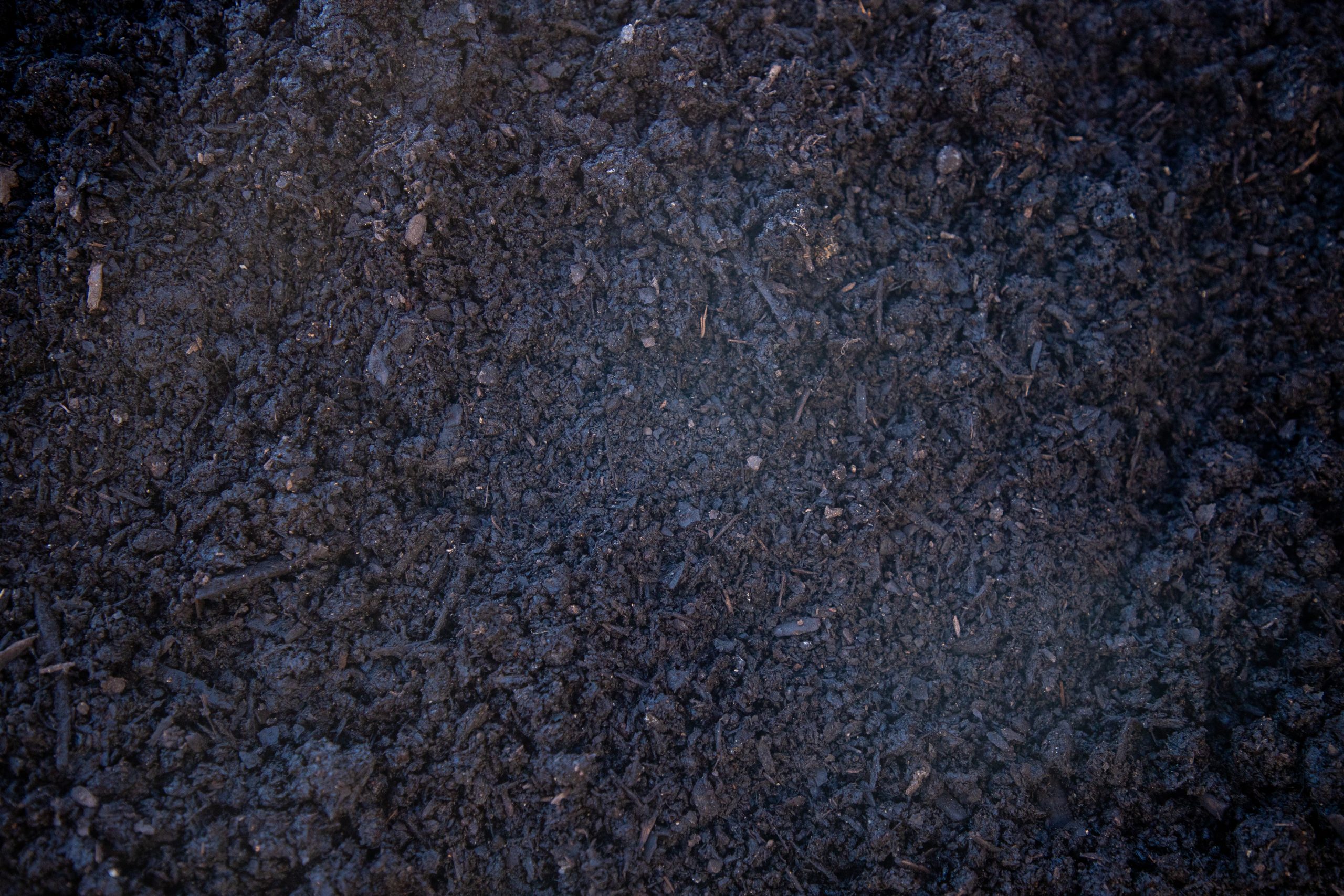 Windwood Planting Mix_Black Gold CLOSE UP Black Gold Planting Mix