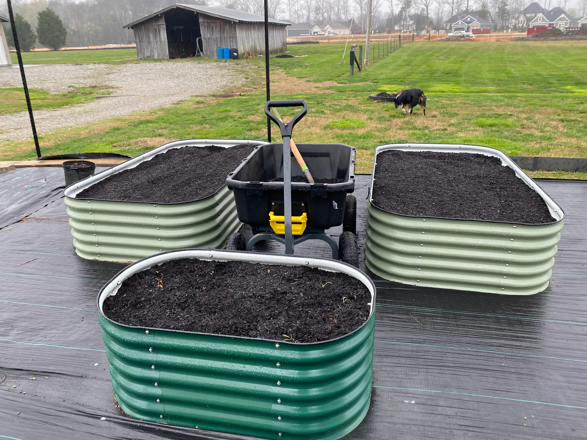 beds customer Customer Raised Bed Photo