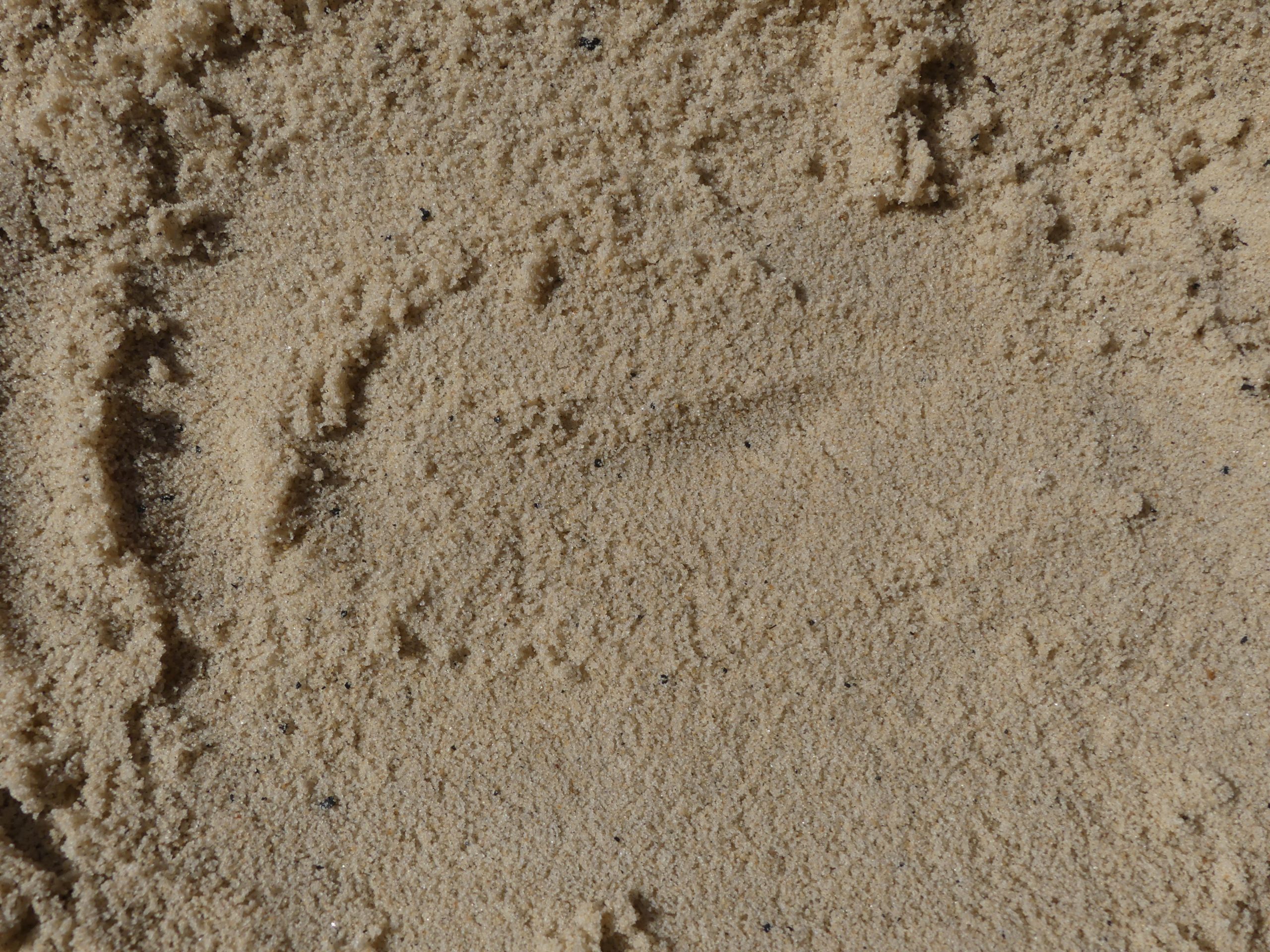 P1020671 Masonry Sand