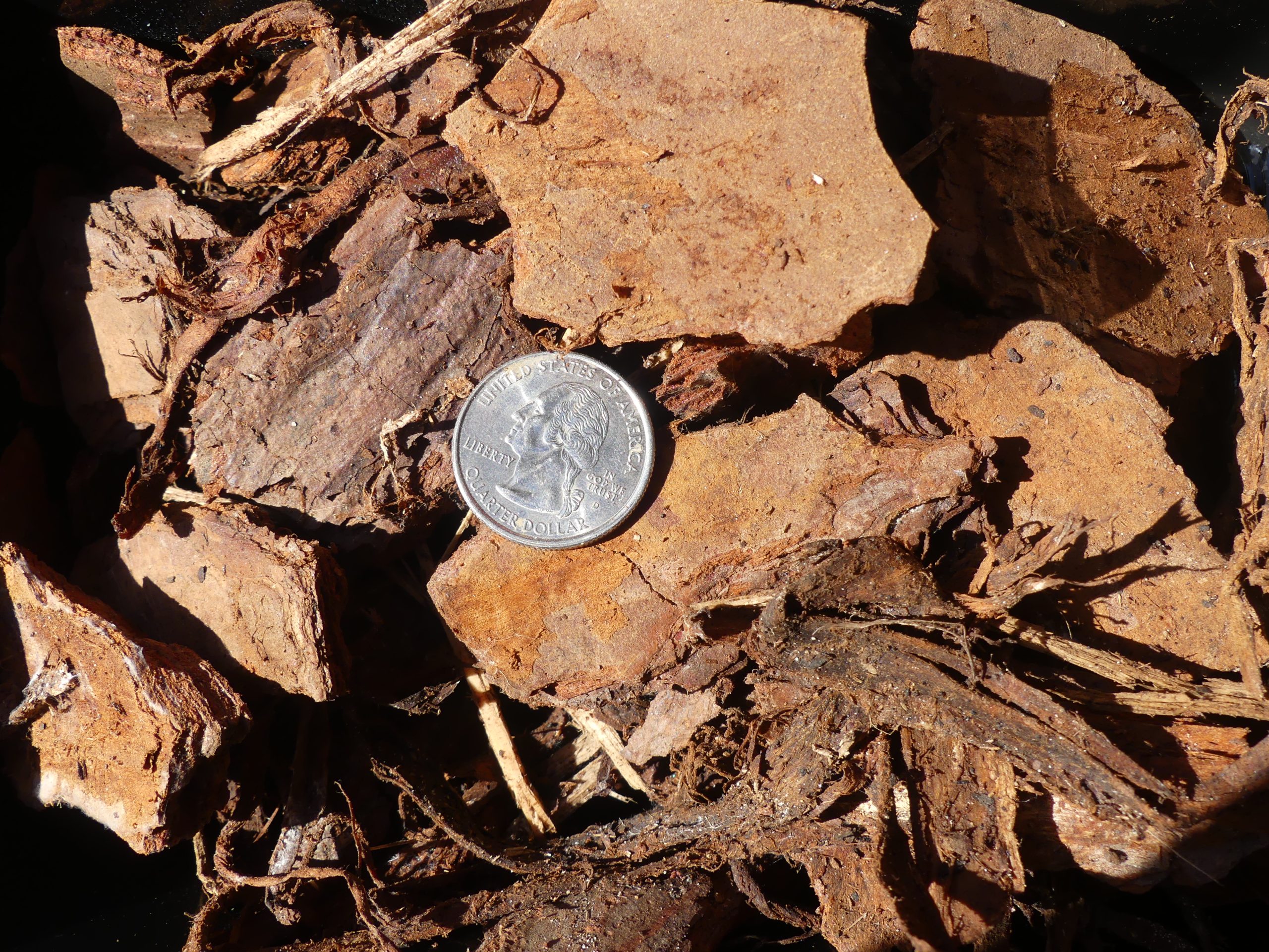 P1020683 Lg Pine Bark Nuggets