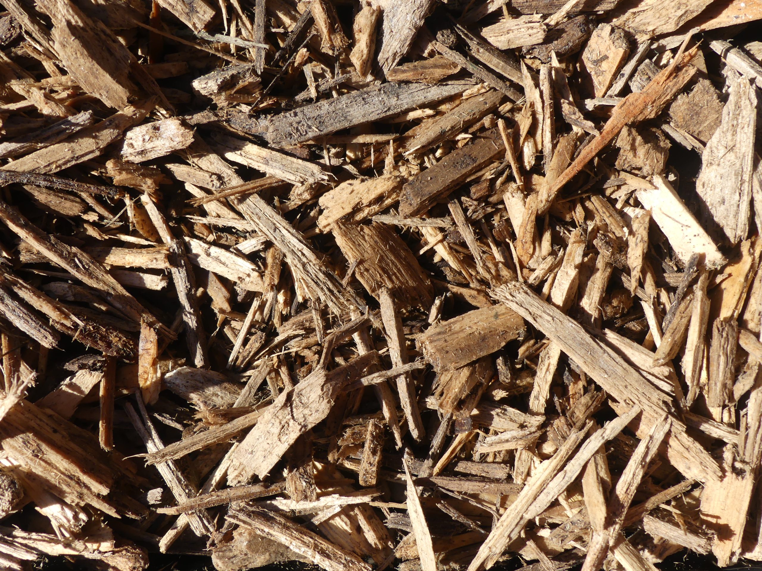 P1020694 Playground Mulch